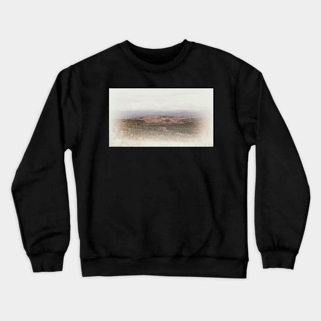view from the Astoria Column Crewneck Sweatshirt by DlmtleArt